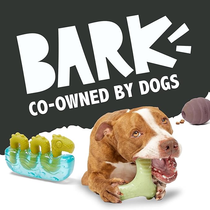 Barkbox Super Chewer Tough Dog Chew Toys - Image 8