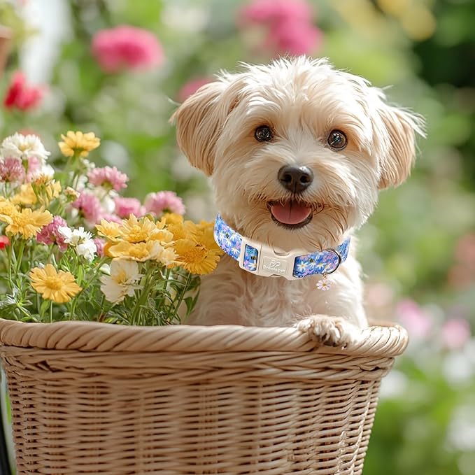 Floral Dog Collar for Medium Dogs - Image 6