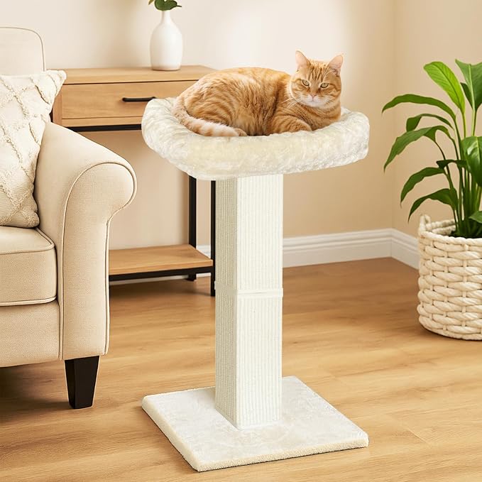 AGYM Cat Scratching Post, 32”Cat Scratcher - Image 2
