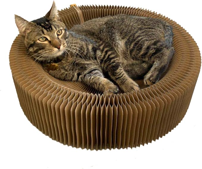 Cat Scratcher Lounge Bed by BobbyPet
