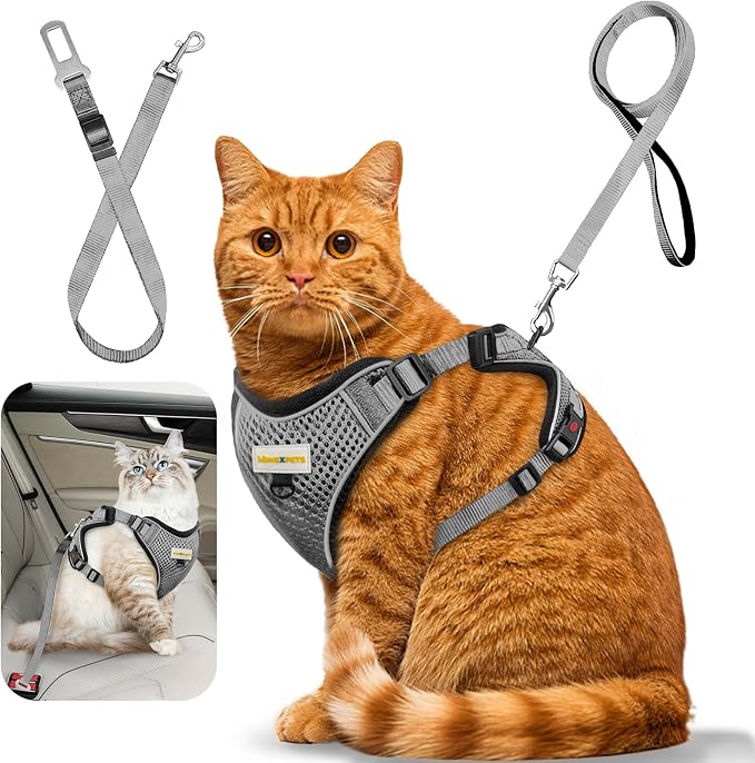 Cat Harness and Leash for Walking, Retractable Cat Harnesses and Leash Set by MingXpets
