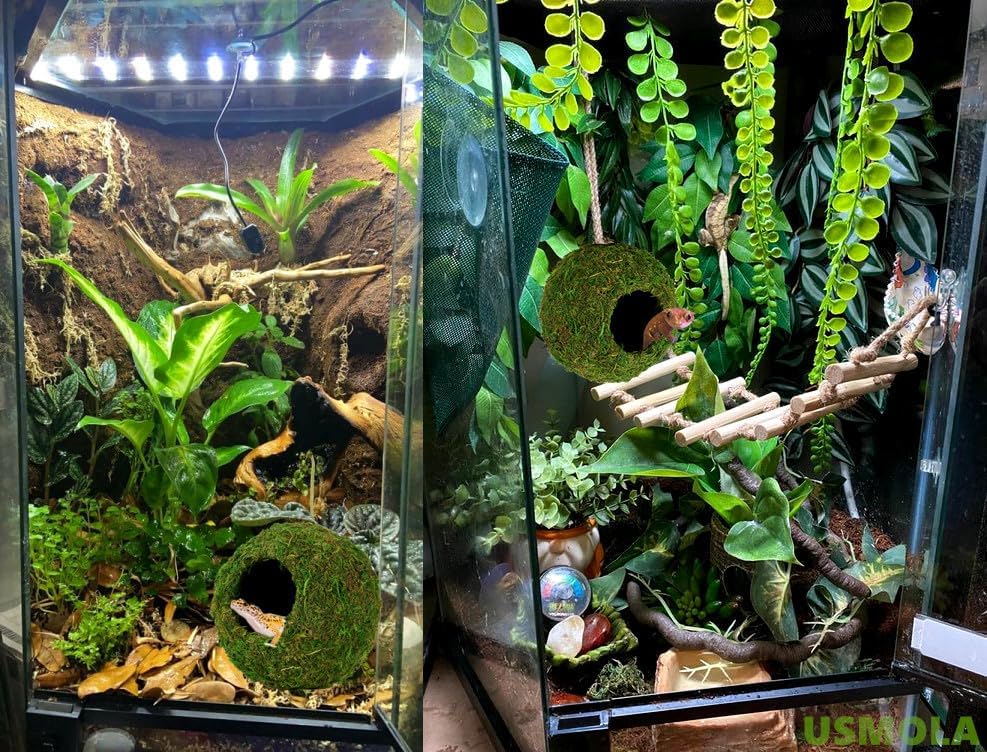 USMOLA 4" Woodland Green Mossy Reptile Caves - GlobalHabitat Supply