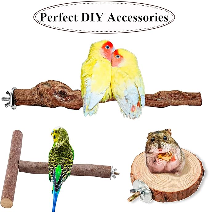 Bird Cage Hardware - Image 5