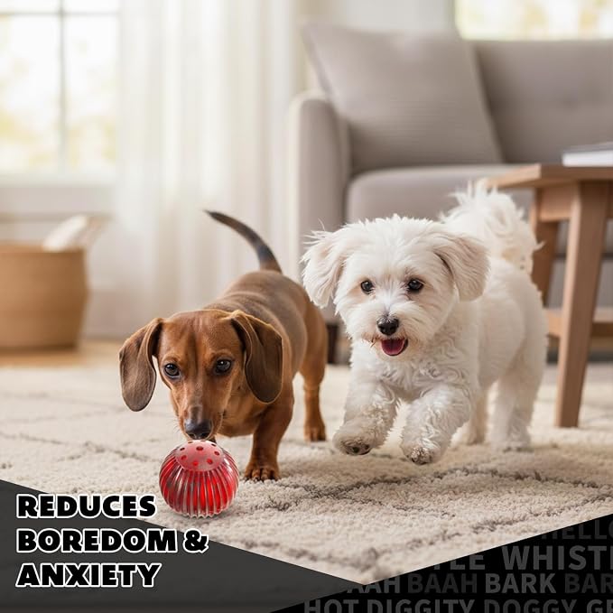 Pet Qwerks Blinky Babble Ball - Image 8