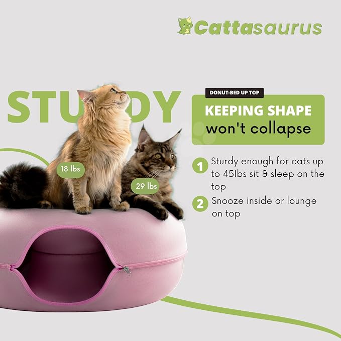Cattasaurus Peekaboo Cat Cave Donut - Image 2