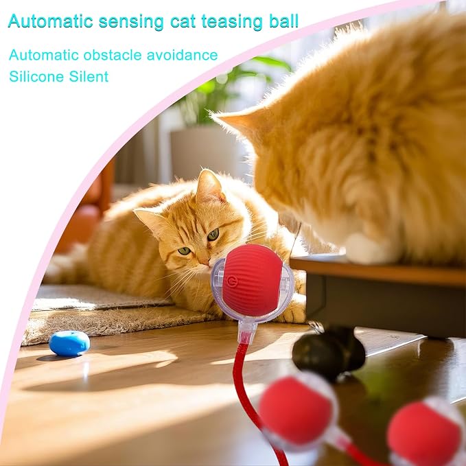 Interactive Cat Dog Toy Ball: Indoor Small Automatic Moving Smart Rolling Fun - Image 8