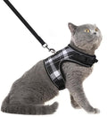 PUPTECK Soft Mesh Cat Vest Harness and Leash Set Puppy Padded Pet Harnesses by PUPTECK