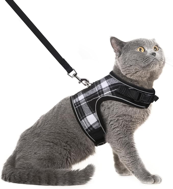 PUPTECK Soft Mesh Cat Vest Harness and Leash Set Puppy Padded Pet Harnesses by PUPTECK