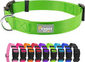 Dog Collar Green Basic Dog Collars by Penseepet