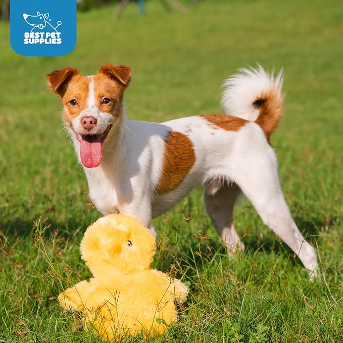 Best Pet Supplies Interactive Squeaky Dog Chew Toy, Ideal Dog Toys - Image 5