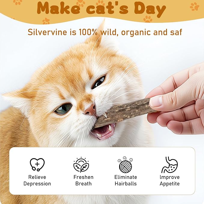 Silvervine Sticks for Cats, Natural Catnip Matatabi Chew Sticks Teeth Molar - Image 3