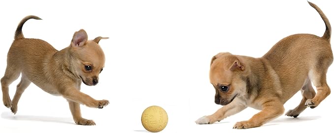 Snug Rubber Dog Balls for Small and Medium Dogs - Image 5