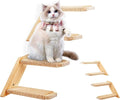 Cat Climbing Stair Shelf Wall Mounted Reversible Left & Right Direction by PELUOMOZ