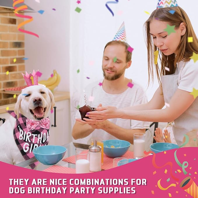 Weewooday Dog Birthday Party Supplies Birthday Boy Girl Cake Bandana Triangle - Image 3