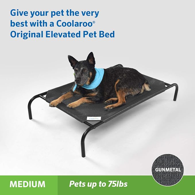Coolaroo Original Elevated Dog Bed - Image 2