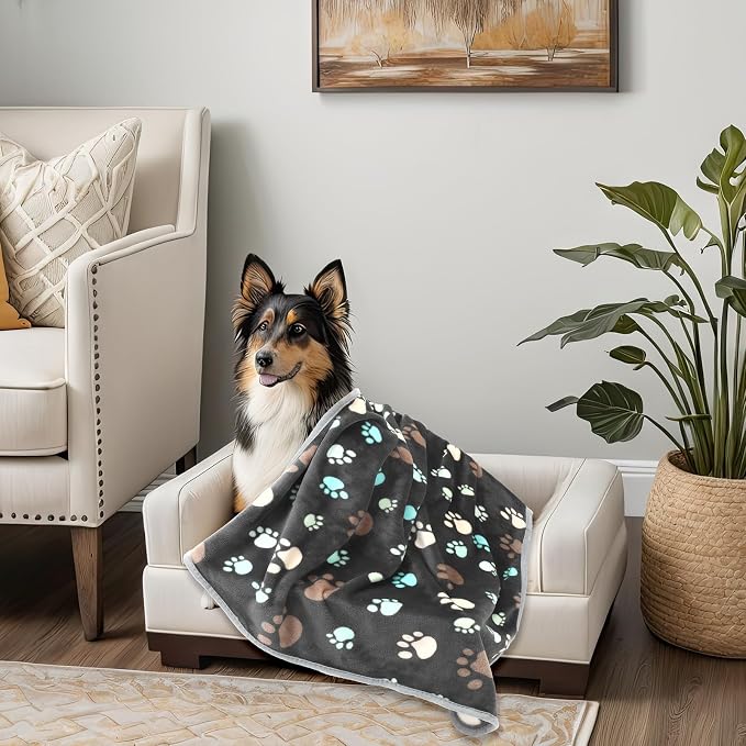 Tegeme 12 Pcs Pet Blankets Soft Fluffy Fleece Dog Cat Warm Paw Print Pattern - Image 6