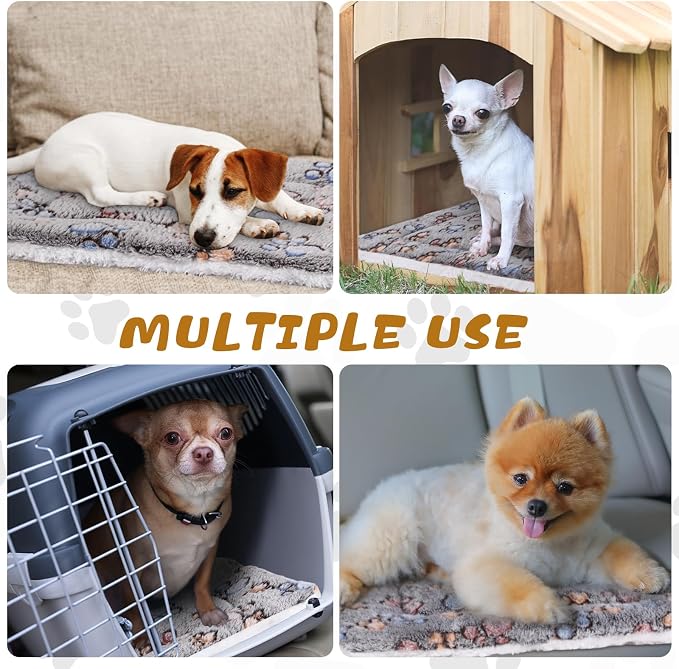 Tuanse 4 Pack Ultra Soft Dog Cat Bed Mat Small Animal Guinea Pig Bed - Image 5