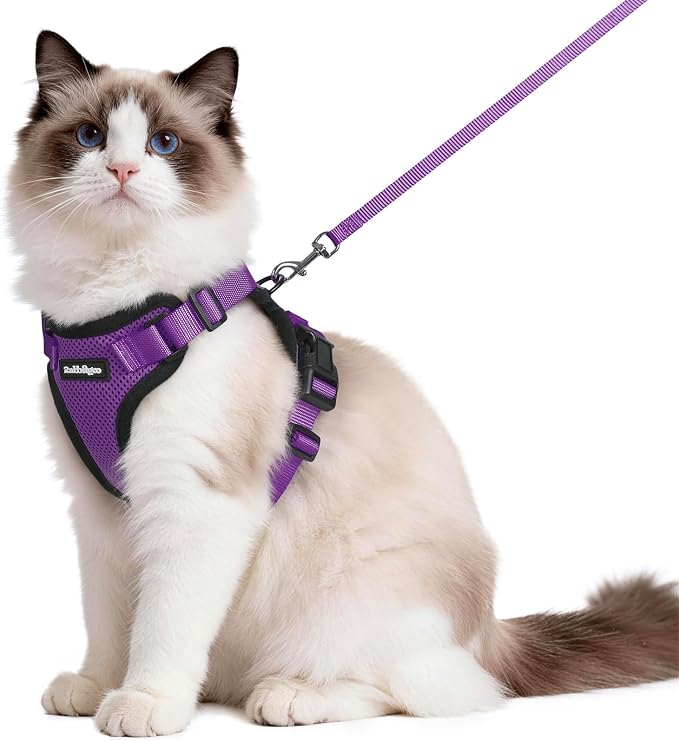 rabbitgoo Cat Harness and Leash by rabbitgoo