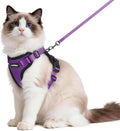 rabbitgoo Cat Harness and Leash by rabbitgoo