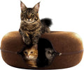 Cattasaurus Peekaboo Cat Cave Donut by Cattasaurus