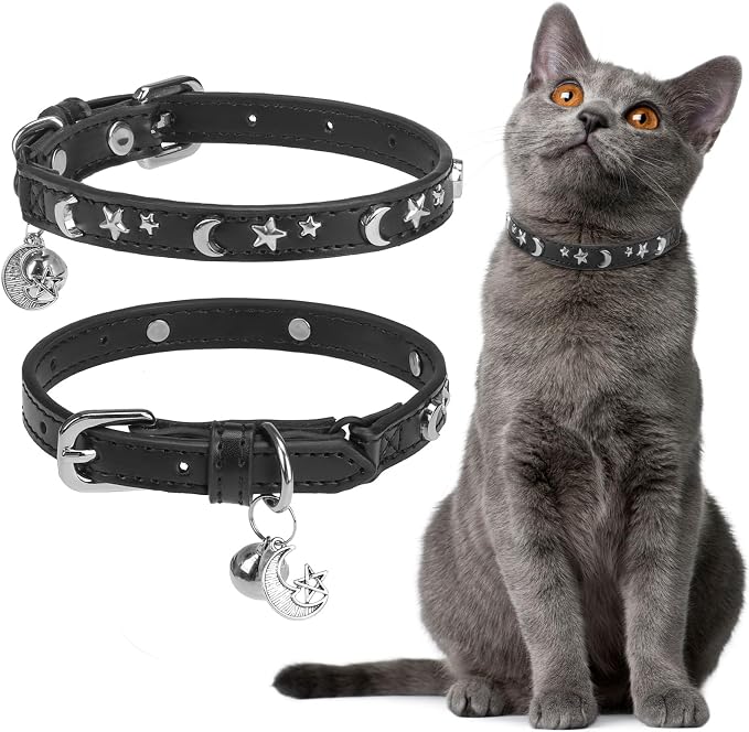 EXPAWLORER Cat Collar for Girl Boy Cats- Adjustable Leather Pet Collar by EXPAWLORER