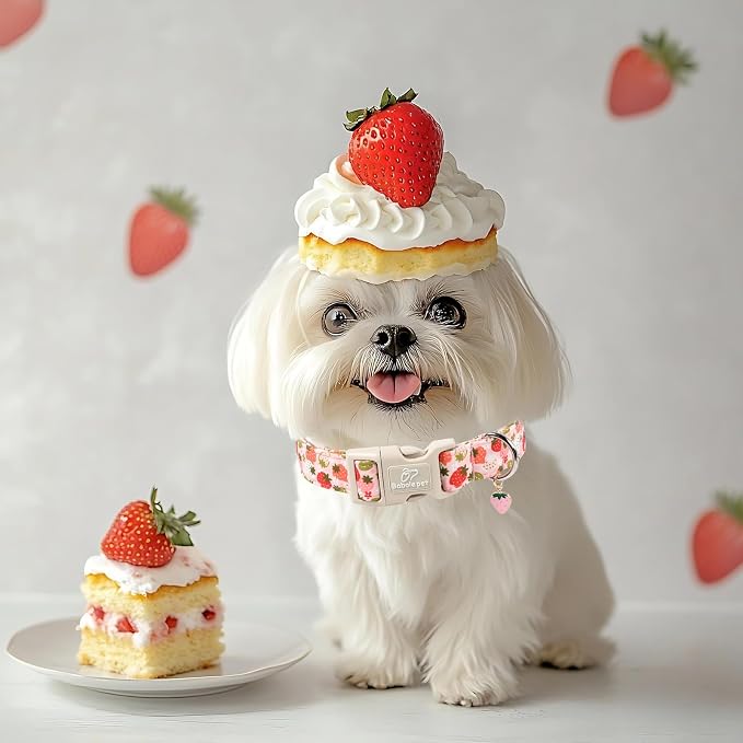 Strawberry Dog Collar for Large Dogs - Image 7