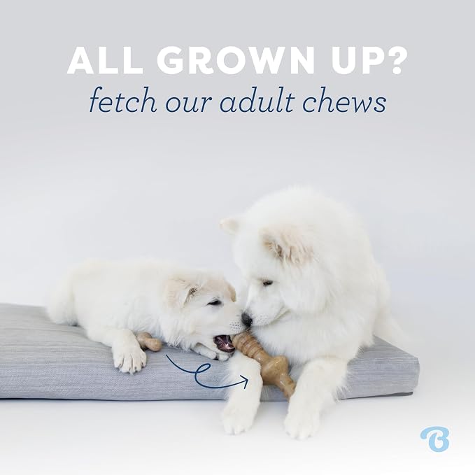 Benebone Puppy 2-Pack Dental Chew/Wishbone Dog Chew Toys, Made in USA, Real - Image 5