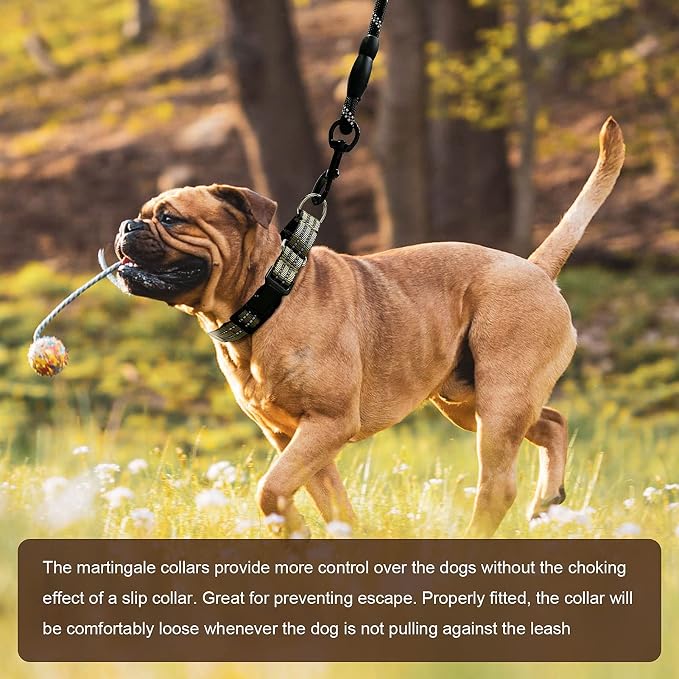 Hikiko Martingale Dog Collars Reflective Nylon Dog Collar - Image 4
