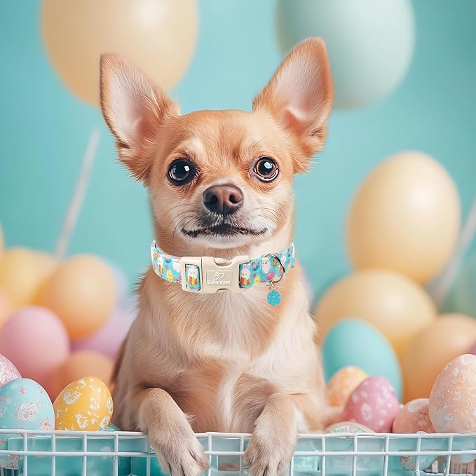 Easter Dog Collar for Large Dogs - Image 2