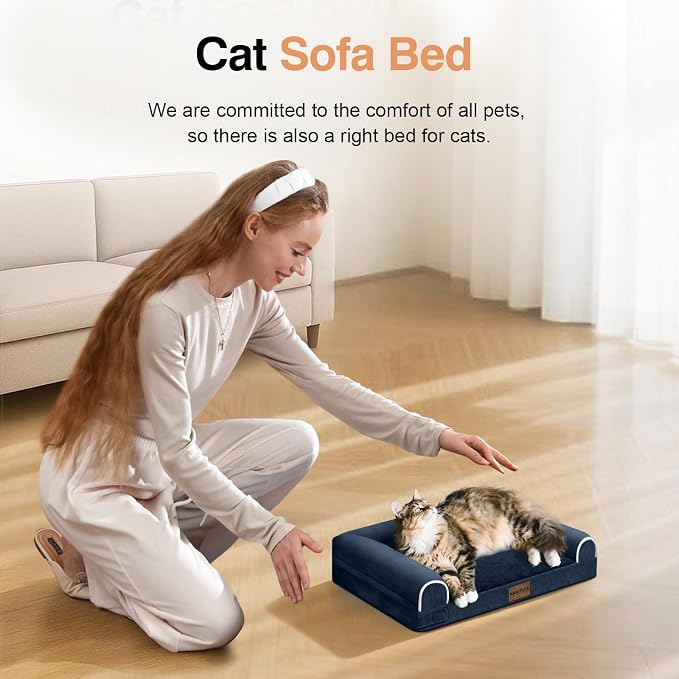 Small Dog Bed Orthopedic Washable: Beds Bolster Small Sized Dogs Cats Bed Egg - Image 3