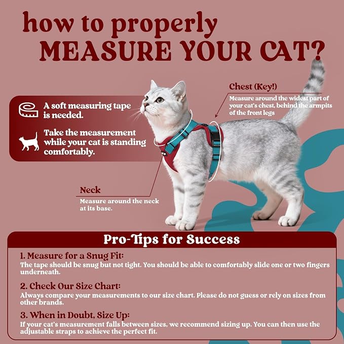 rabbitgoo Cat Harness and Leash - Image 2