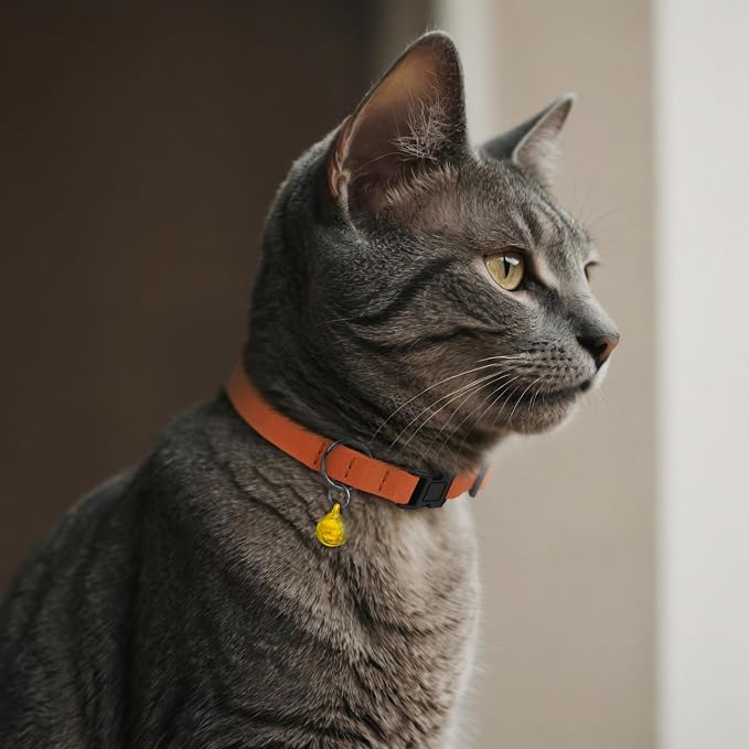 Breakaway Cat Collar Leather - Image 9
