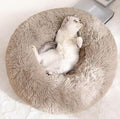 Cat Beds for Indoor Cats by Unknown