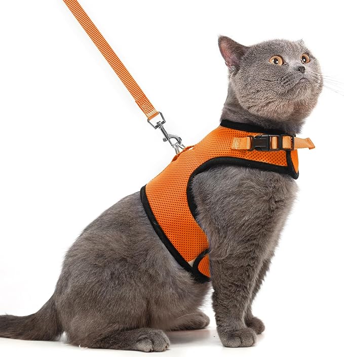 PUPTECK Soft Mesh Cat Vest Harness and Leash Set Puppy Padded Pet Harnesses by PUPTECK