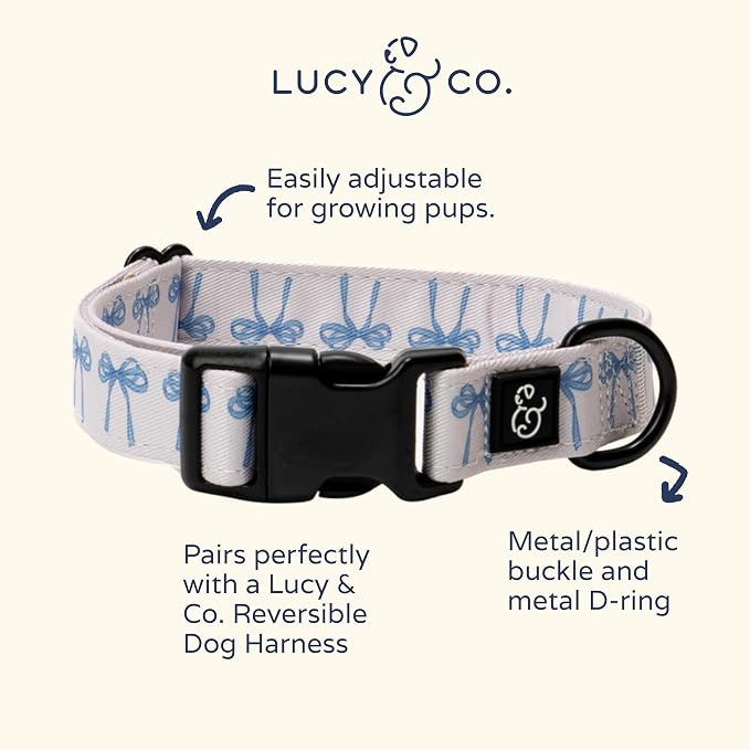 Lucy & Co. Dog Collar - Image 6