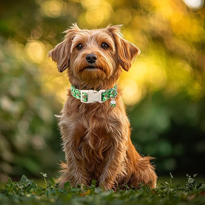 St Patricks Day Dog Collar for Large Dogs - Image 3