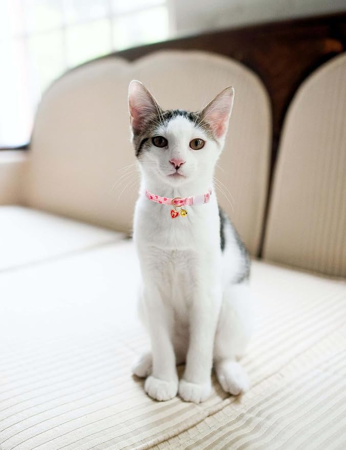 Cat Collar Breakaway with Bells, 3 Pack Safety Adjustable Pet Collars - Image 5