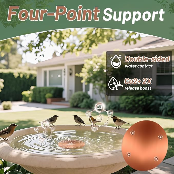 3PCS Pure Copper Bird Bath Purification Disk - Image 6