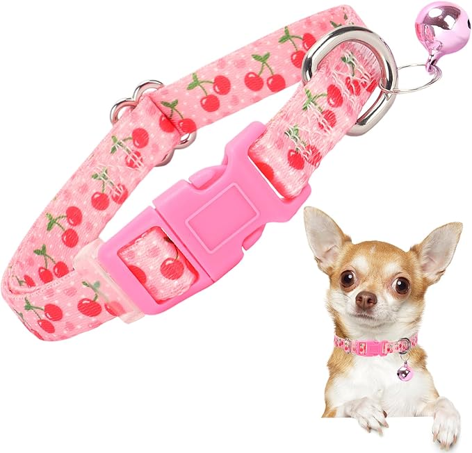 Small Dog Collar with Bell by ONEFOJOJO