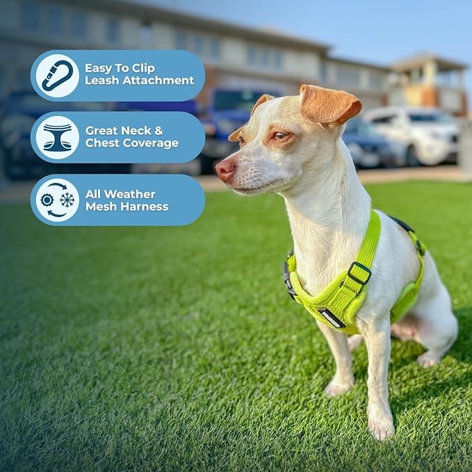 Best Pet Supplies Voyager Step-in Air All Weather Mesh Harness and Reflective - Image 6