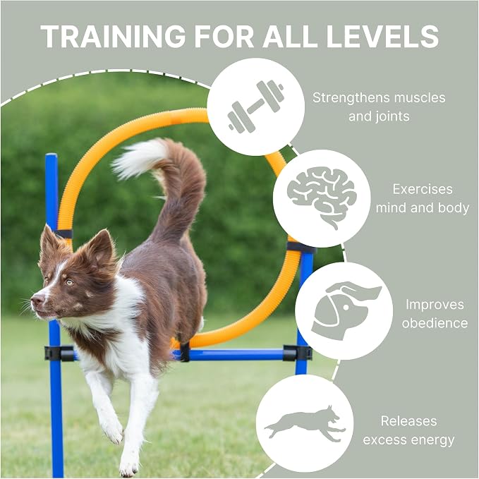 TRIXIE Dog Agility Ring, Portable Dog Hoop, Obstacle Course Equipment, - Image 3