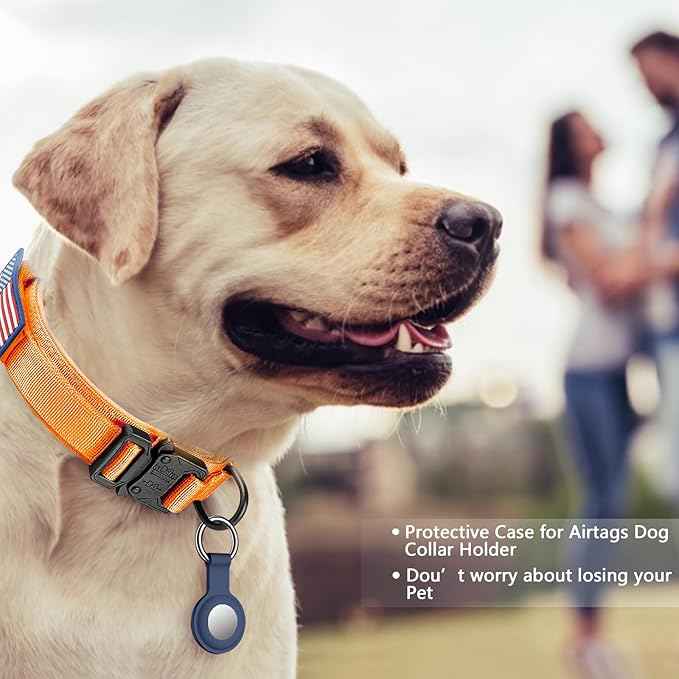 DAGANXI Tactical Dog Collar, Adjustable Military Training Nylon Dog Collar