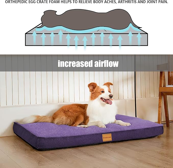 Patas Lague Orthopedic XL Dog Bed Large Sized Dog 48''X30'', Soft Waterproof - Image 3