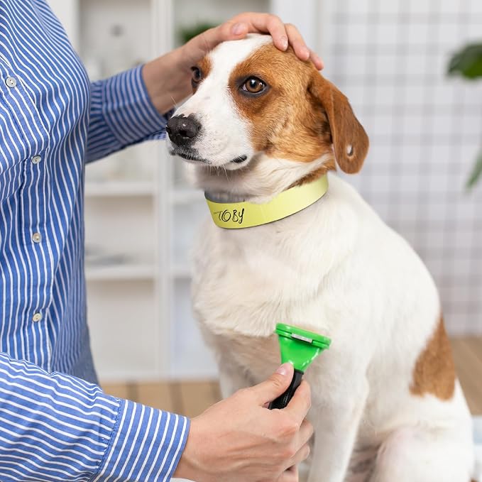 500 Count 20inch Adjustable Paper Dog Collars - Image 4