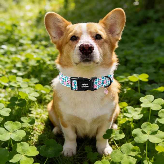 Unique style paws Dog Collar Plastic Buckle