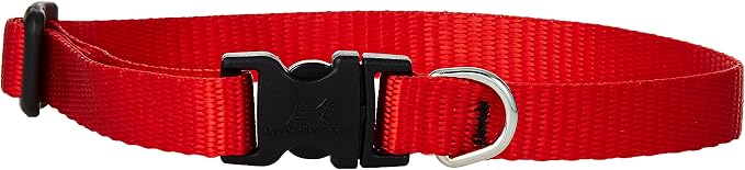 LupinePet Basics 1/2" Red 10-16" Adjustable Collar by LupinePet