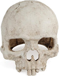 Uniclife Aquarium Skull Reptile House Decor Resin Head Skeleton Ornament by UnicLife