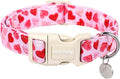 DOGWONG Valentine's Dog Collar