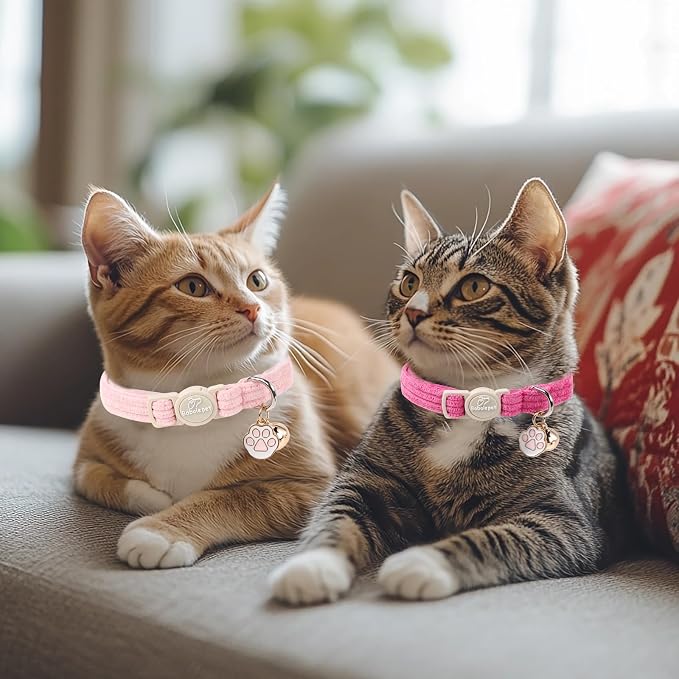 2 Pack Corduroy Cat Collars - Image 2