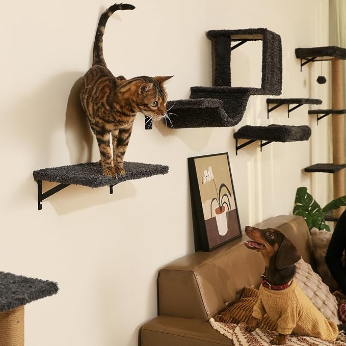 FUKUMARU Cat Wall Shelves, Stable & Safe 4 in 1 Cat Furniture Set, Wooden - Image 4